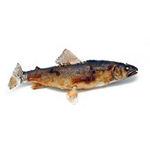 便當食材-香魚鹽燒